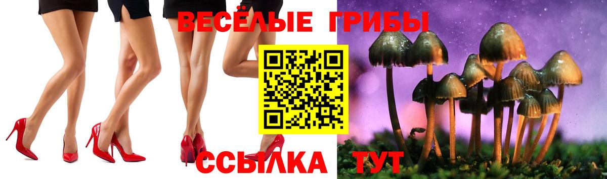 где купить наркоту  Псилоцибиновые грибы MAGIC MUSHROOMS  Вход с VPN  Кимовск 